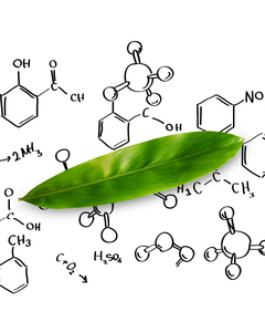 Ingredients Glossary