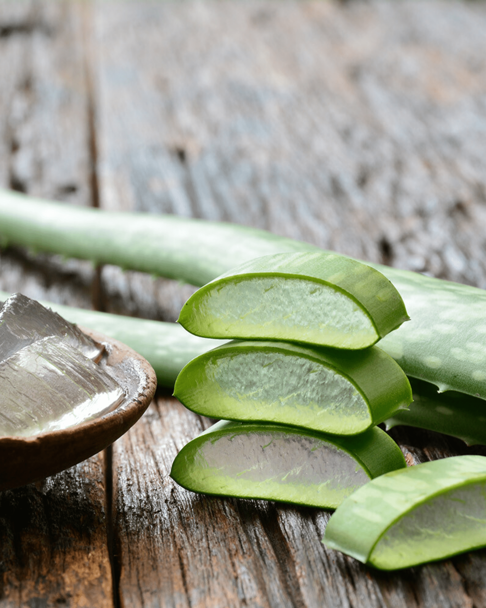 3er Set Aloe Vera Ampullen 3x2ml - Gesichtspflege von Malu Wilz bei Beautystore Schweiz